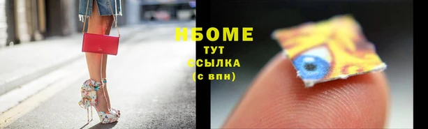 ПСИЛОЦИБИНОВЫЕ ГРИБЫ Гусев