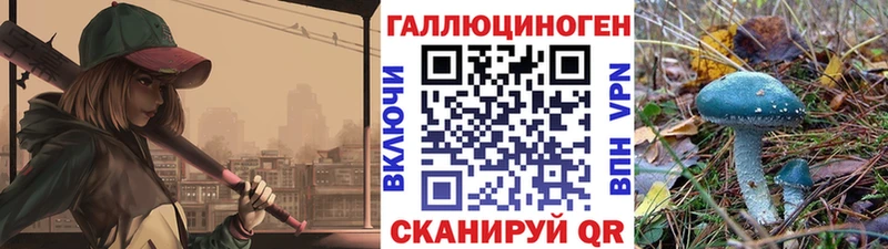 хочу   Кудымкар  Галлюциногенные грибы мухоморы 